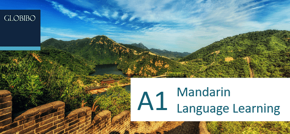 Mandarin A1 Language Course
