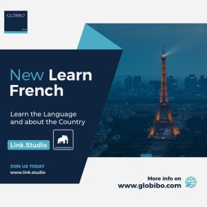 French A1 Language Course by Link Studio