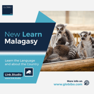 Malagasy A1 Language Course by Link Studio
