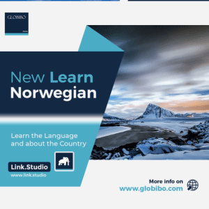 Norwegian A1 Language Course by Link Studio