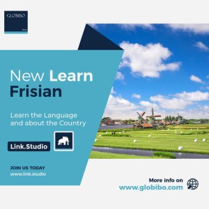 Frisian A1 Language Course by Link Studio